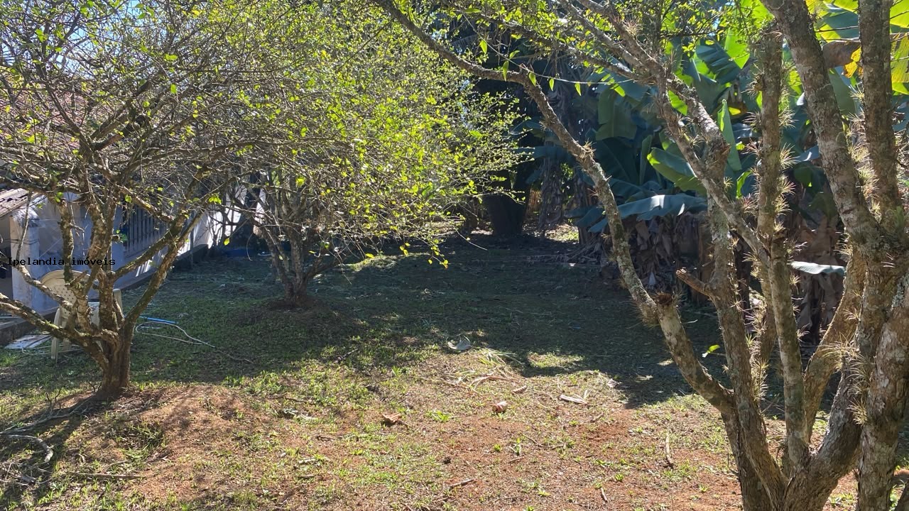 imagem-miniatura