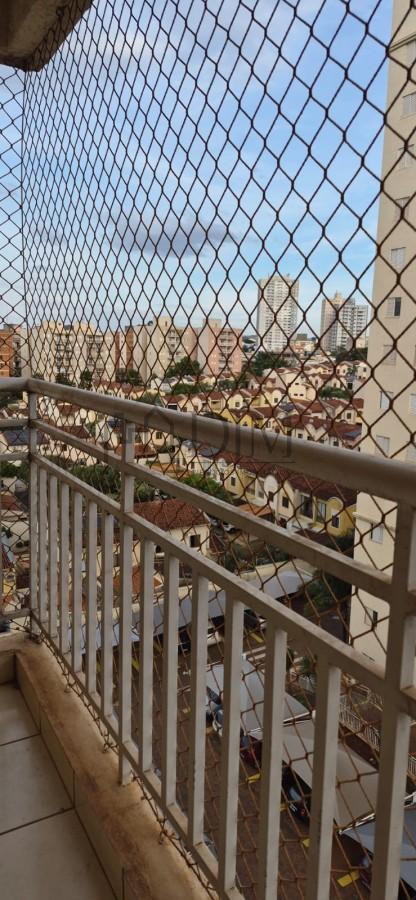 imagem-miniatura