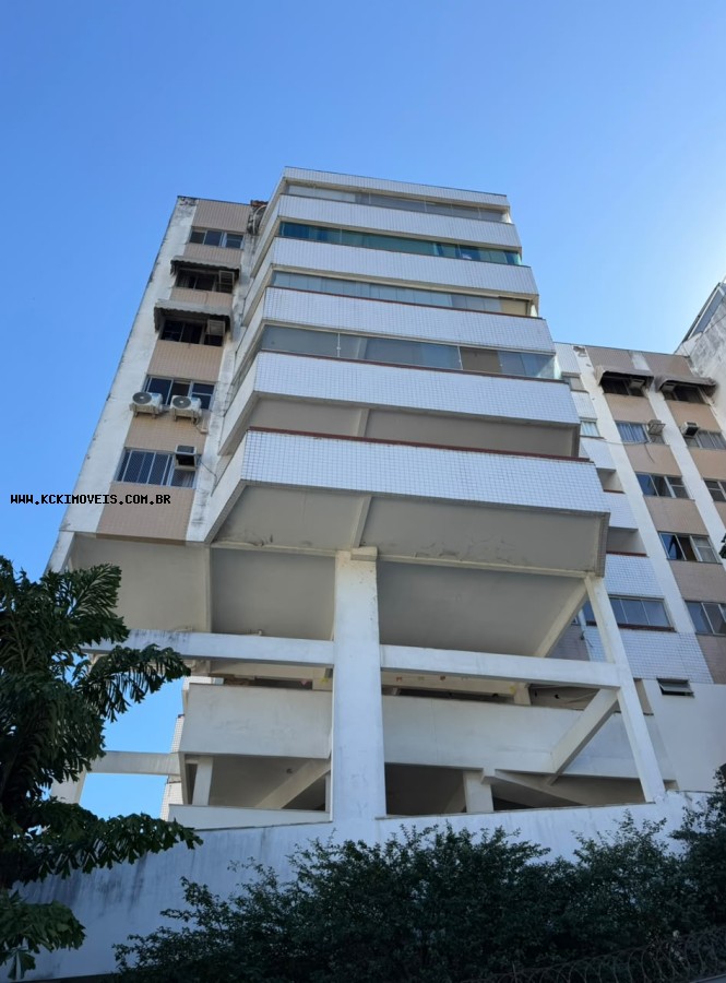 imagem-miniatura