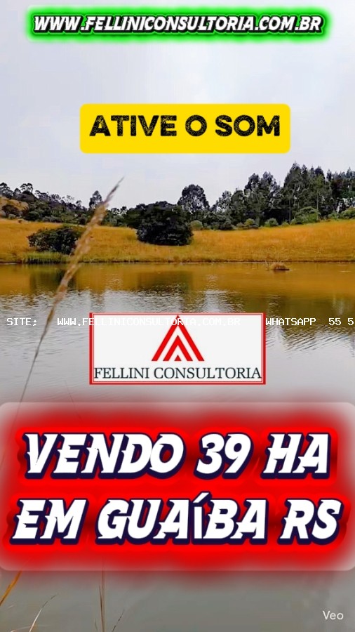 imagem-miniatura