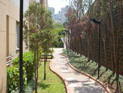Apartamento para Locao, em So Paulo, bairro Morumbi, 2 dormitrios, 1 banheiro, 1 vaga