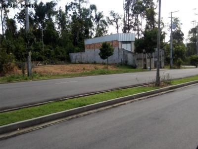 Terreno para Venda, em Manaus, bairro Tarumã