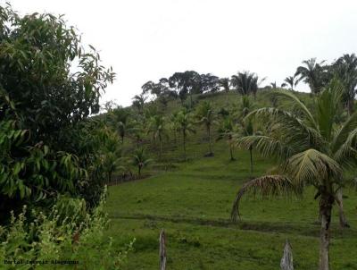 Fazenda para Venda, em Passo de Camaragibe, bairro CENTRO
