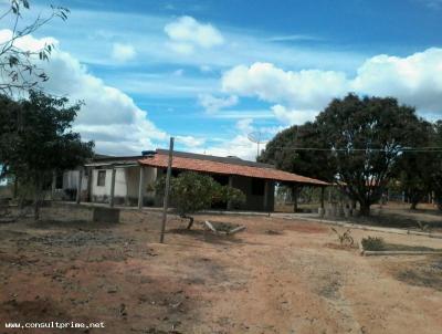 Sítio / Chácara para Venda, em Montes Claros, bairro ZONA RURAL, 2 dormitórios, 1 banheiro