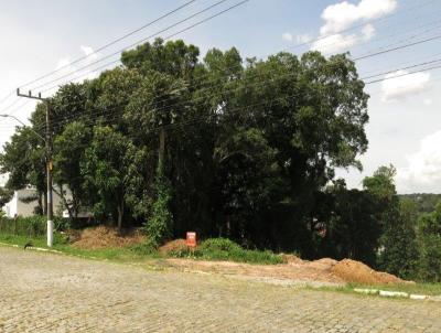 Terreno para Venda, em Rio Negrinho, bairro Bela Vista