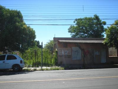 Terreno para Venda, em Santa Cruz do Sul, bairro Schulz