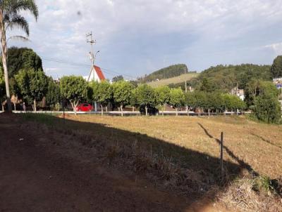 Terreno para Venda, em Ronda Alta, bairro 