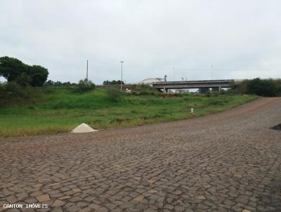 Terreno para Venda, em So Jos do Cedro, bairro SEM INFORMAO