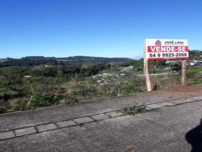 Terreno para Venda, em Farroupilha, bairro Monte Verde