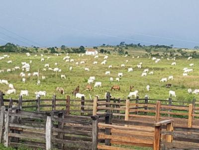 Fazenda para Venda, em Santa Cruz Da Vitria, bairro Zona Rural