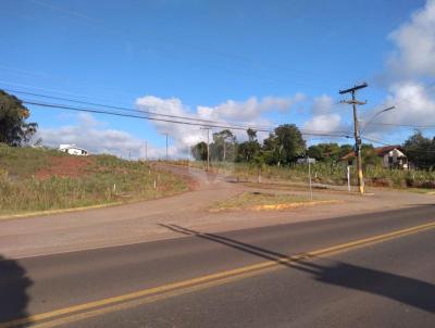 Terreno para Venda, em Santa Cruz do Sul, bairro Linha Santa Cruz