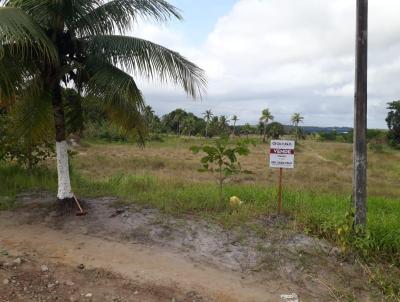 Terreno para Venda, em Goiana, bairro Gambá
