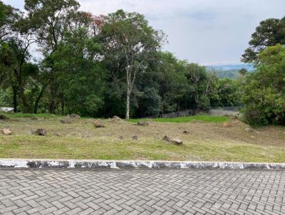 Terreno para Venda, em Guarapuava, bairro Trianon