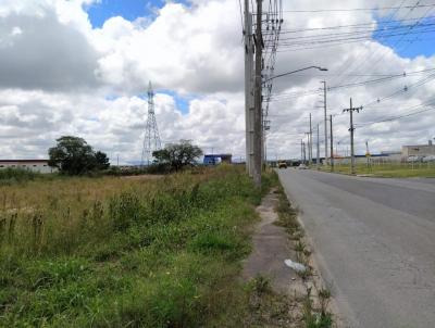 rea Industrial para Venda, em Fazenda Rio Grande, bairro Eucaliptos