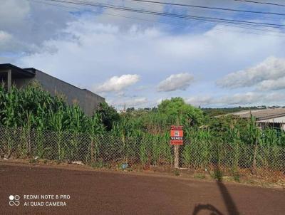 Terreno para Venda, em Cascavel, bairro Veneza