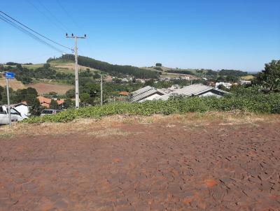 Terreno para Venda, em So Jos do Cedro, bairro Loteamento Kipper