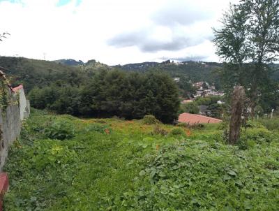 Terreno para Venda, em Campos do Jordo, bairro Vila Dubieux