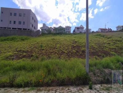 Terreno para Venda, em Santa Rita do Sapuca, bairro MONTE LBANO