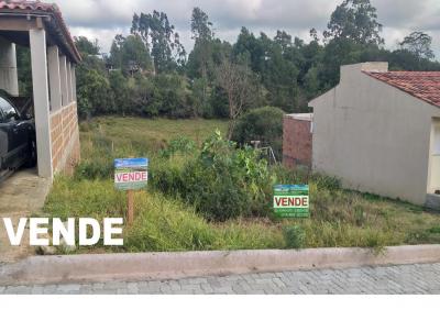 Terreno para Venda, em Canguu, bairro Loteamento colina Verde