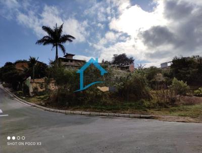 imagem-miniatura