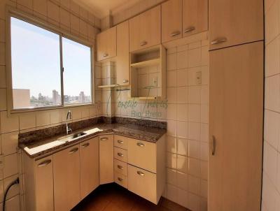 Apartamento para Venda, em São José do Rio Preto, bairro Cidade Nova, 2 dormitórios, 2 banheiros, 1 suíte, 1 vaga