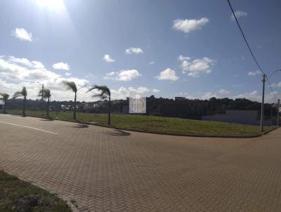 Terreno para Venda, em Gravata, bairro Dom Feliciano