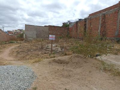 Terreno Urbano para Venda, em Pesqueira, bairro Lot. Jos Rocha