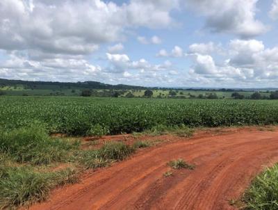 Fazenda para Venda, em Cristianpolis, bairro Zona Rural