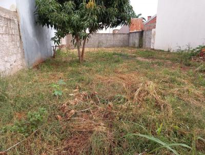Terreno para Venda, em Tangar da Serra, bairro TARUM
