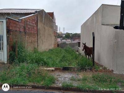 Terreno para Venda, em So Jos do Rio Preto, bairro So Francisco