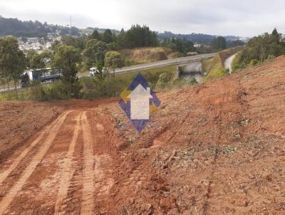 Terreno para Venda, em Campo Largo, bairro Vila Itaqui