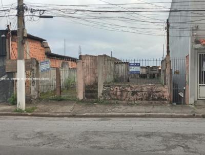 Terreno para Venda, em So Paulo, bairro Vila Carmem