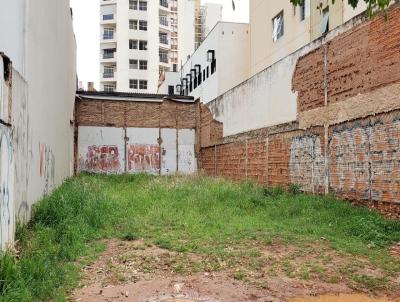 Terreno para Locao, em So Jos do Rio Preto, bairro Centro
