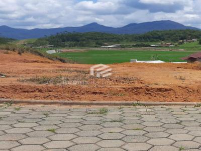 Terreno para Venda, em Massaranduba, bairro Campinha