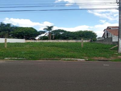 Terreno para Venda, em Lages, bairro Sagrado Corao de Jesus