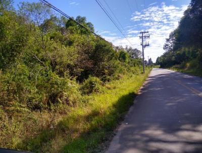 rea Rural para Venda, em Caxias do Sul, bairro Ana Rech
