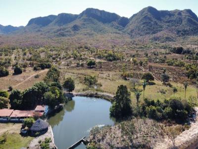 Fazenda para Venda, em Monte Alegre de Gois, bairro 