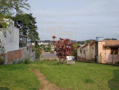 Terreno para Venda, em Porto, bairro Centro