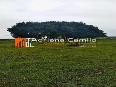 Terreno para Venda, em Laguna, bairro CAMPOS VERDES