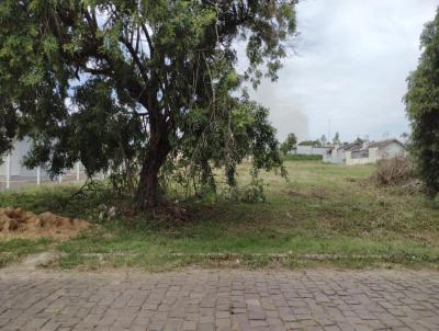 Terreno para Venda, em Venncio Aires, bairro Coronel Brito