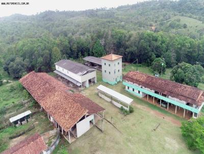 Fazenda para Venda, em Itacar, bairro Zona Rural