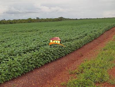 Fazenda para Venda, em Pedro Afonso, bairro Regio produtora consolidada