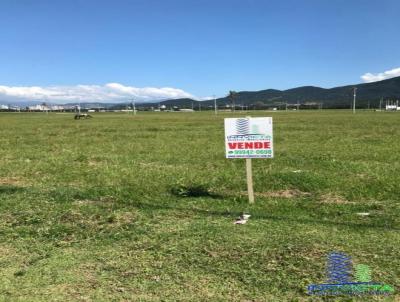 Terreno Industrial para Venda, em So Jos, bairro Serto do Imaruim