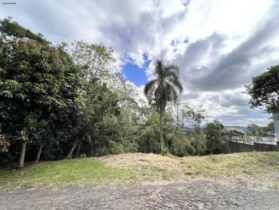 Terreno para Venda, em Erechim, bairro Morro da Cegonha