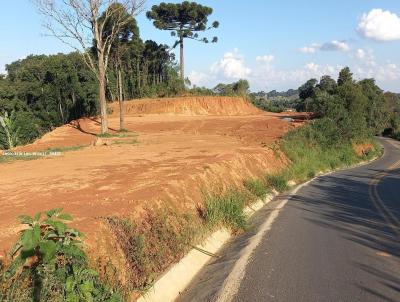 rea para Venda, em Campo Magro, bairro Quarteiro So Joo