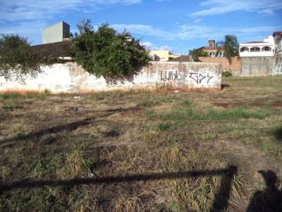 Terreno Comercial para Venda, em Ribeiro Preto, bairro Alto da Boa Vista