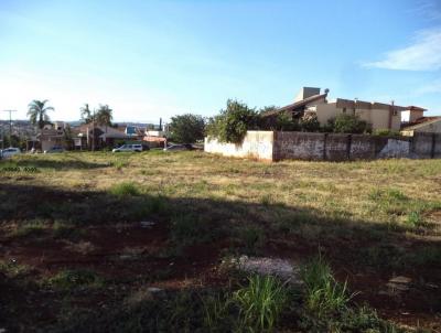 Terreno Comercial para Locao, em Ribeiro Preto, bairro Alto da Boa Vista