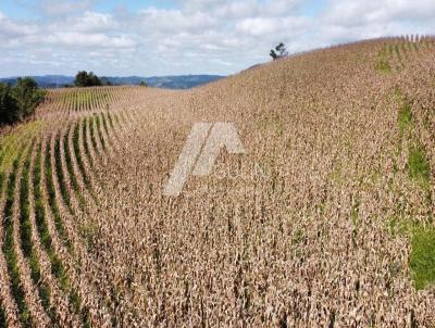 rea para Venda, em Campo Magro, bairro 