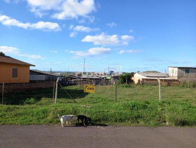 Terreno para Venda, em Vacaria, bairro Barcellos