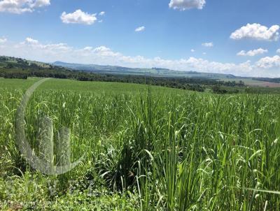 Stio para Venda, em Rio Claro, bairro zona rural, 2 dormitrios